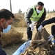 Syria: Hundreds of bodies exhumed from mass grave in Raqqa | Syria News | Al Jazeera